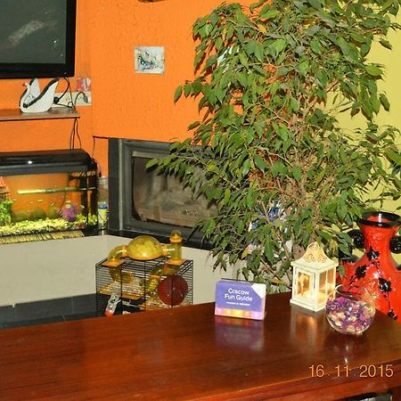 Honey Hostel Krakow Bagian luar foto