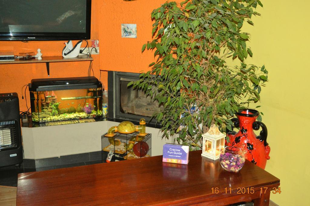 Honey Hostel Krakow Bagian luar foto